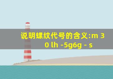 说明螺纹代号的含义:m 30 lh -5g6g - s